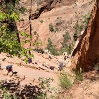 Scout Lookout trail in Zion National Park